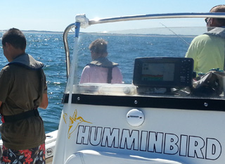humminbird 898csi en reseau
