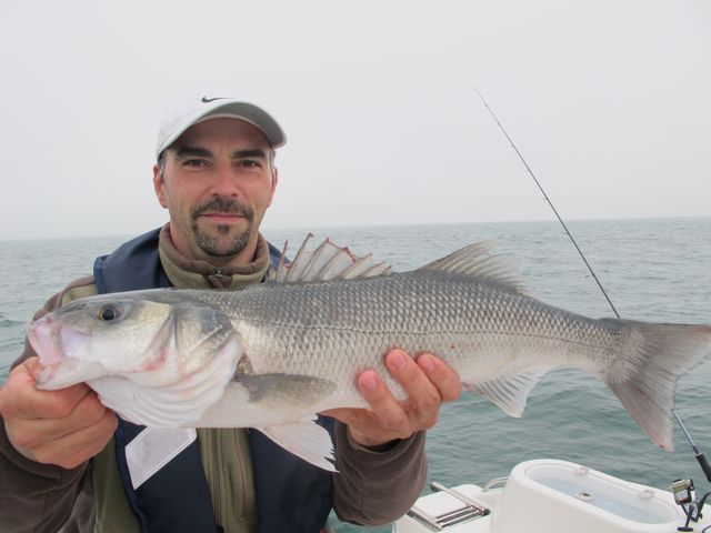 Leurre Réaliste Live Articulé Pêche Mer Rivière Oléron I 7 5cm 13g N 651593